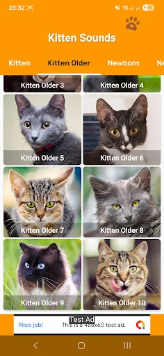 Kitten Sounds: Meows & Purrs screenshot 3