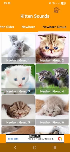 Kitten Sounds: Meows & Purrs screenshot 4