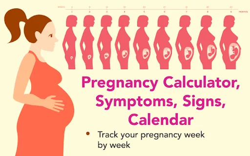 Pregnancy Calendar, Tracker