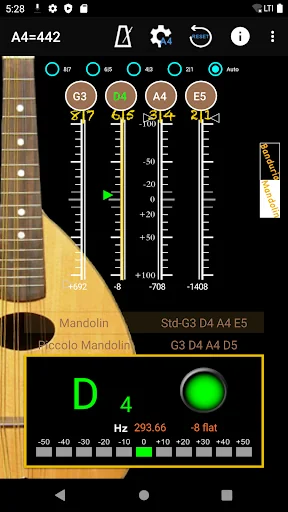 Mandolin Tuner - Mandolin