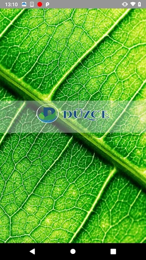 Düzce