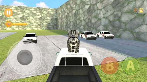 Kitten Cat Simulator 3D Craft screenshot 4
