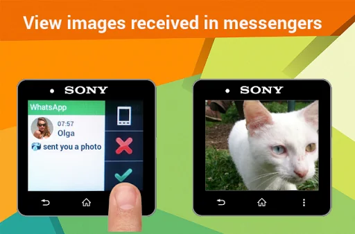 Media Viewer for Informer Pro