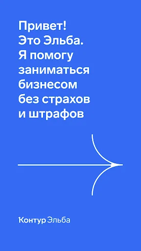 Контур.Эльба - бухгалтерия ИП screenshot 1