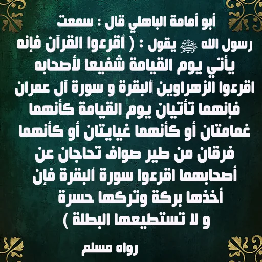 فضل قراءة سور القران  بدون أنت screenshot 3