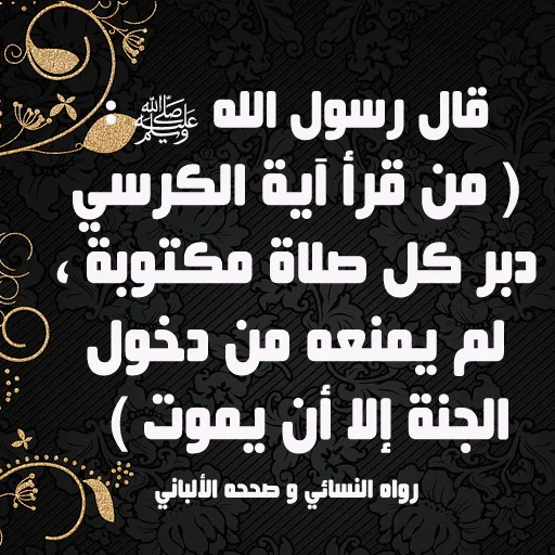 فضل قراءة سور القران  بدون أنت screenshot 4
