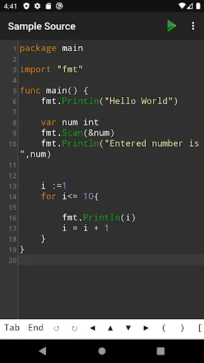 Go Programming Compiler