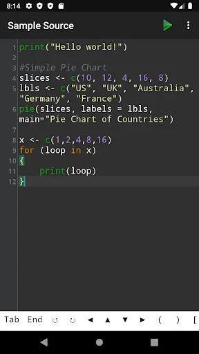 R Programming Compiler