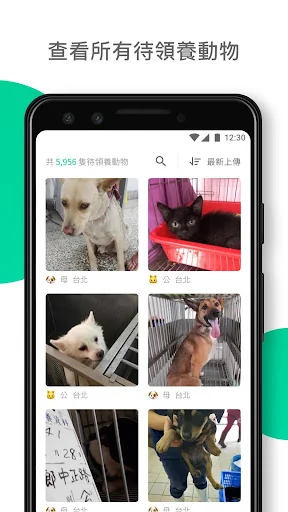 iShelter：浪浪找家 (全台認養/領養動物資訊)