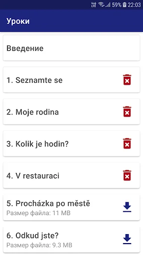 BerlitzCZ
