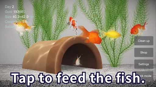 Goldfish 3D Relaxing Aquarium screenshot 2