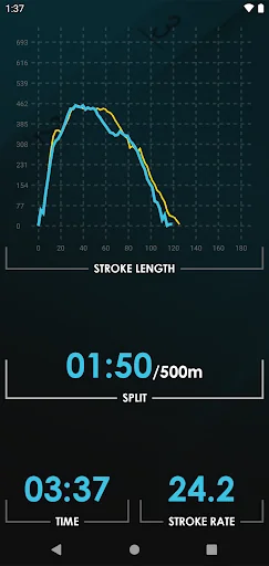 RP3 Rowing