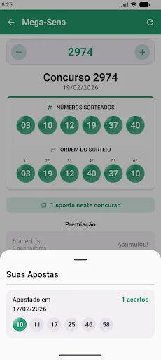 Meus Números da Sorte screenshot 4