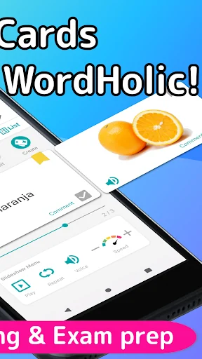 WordHolic | DIY Flash Cards! screenshot 2