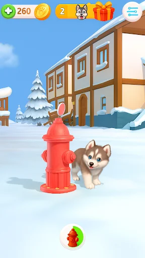 Talking Siberian Husky screenshot 2