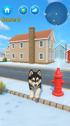 Talking Siberian Husky screenshot 3