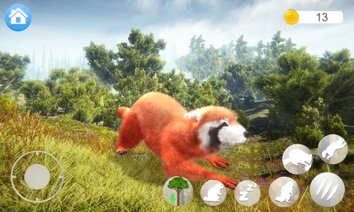 Talking Raccoon: Fun Pet