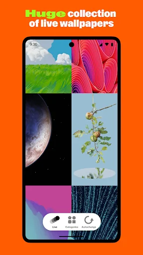 Ornamental: 4K Live Wallpapers screenshot 1