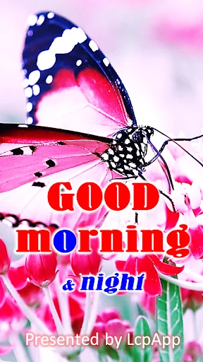 Good Morning and Good Night