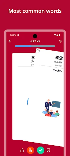 JLPT Japanese Words & Alphabet