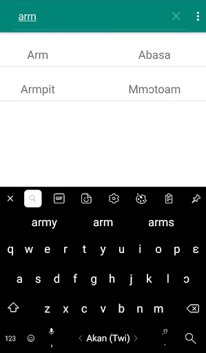 Akan Twi Guide screenshot 1