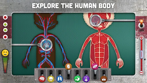 How does The Human Body Work? screenshot 1