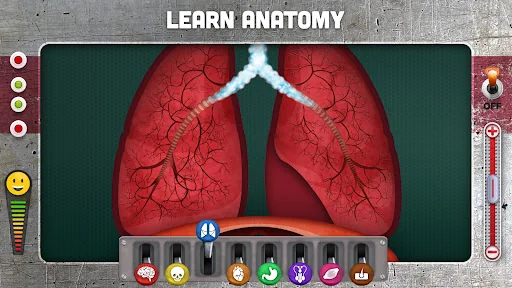 How does The Human Body Work? screenshot 2