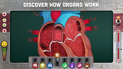 How does The Human Body Work? screenshot 3