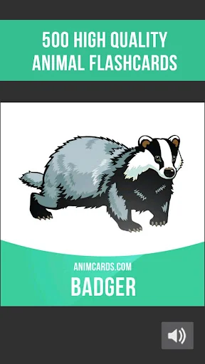 Animals Cards: Learn Animals i