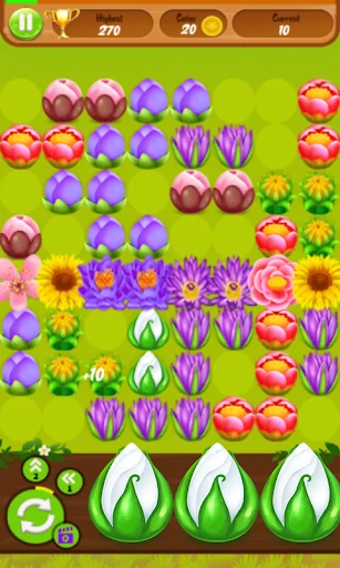 Block Flower Blossom