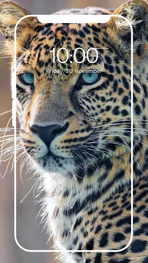 Wild Leopard Wallpaper HD 4K