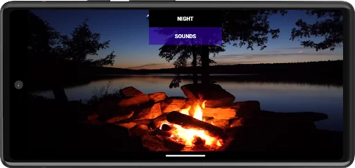 Forest relax. Sounds of nature screenshot 1