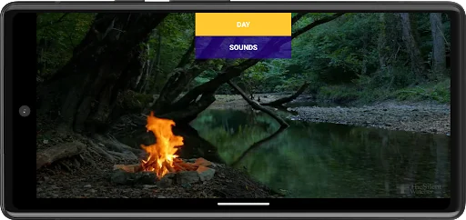 Forest relax. Sounds of nature screenshot 2