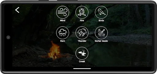 Forest relax. Sounds of nature screenshot 3