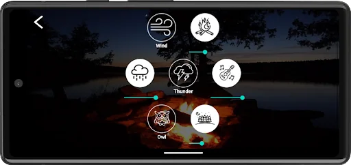 Forest relax. Sounds of nature screenshot 4