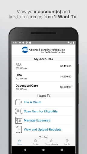 Advanced Benefit Strategies