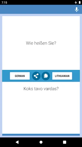 German-Lithuanian Translator