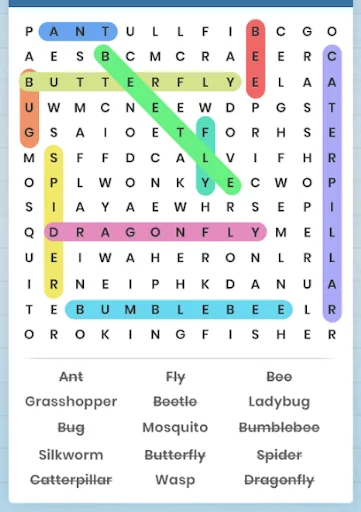 Word Search Puzzles