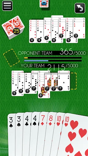 Canasta Multiplayer Card Game