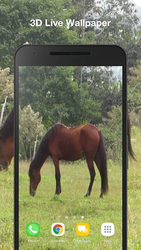 Horse Live Wallpaper