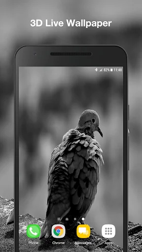 Real Bird Live Wallpaper