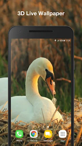 Swans Live Wallpaper