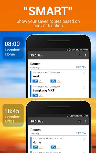 SG Dr Bus: SG Bus Daily Route
