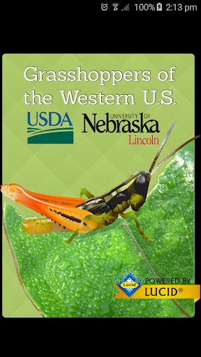 Grasshoppers of the Western US