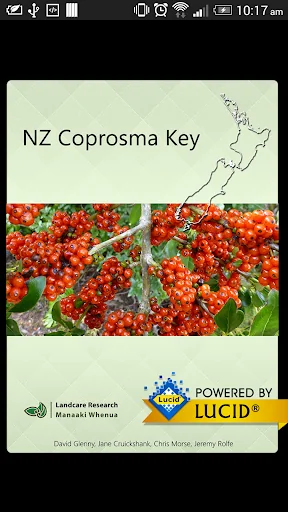 NZ Coprosma Key