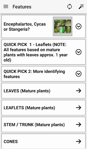 IDentifyIt Cycads