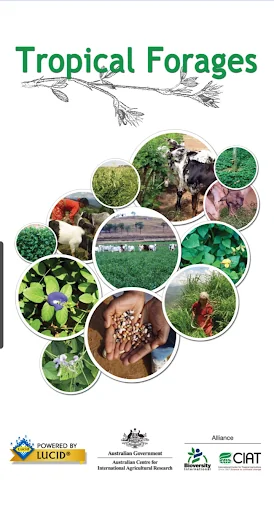 Tropical Forages