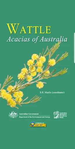 Wattle - Acacias of Australia