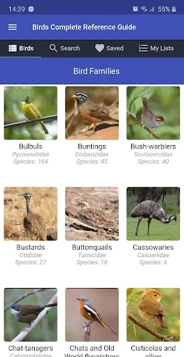 Birds Complete Reference Guide