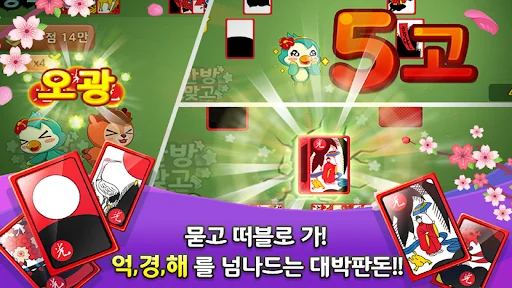 한방맞고: 인생 한방 고스톱 screenshot 4